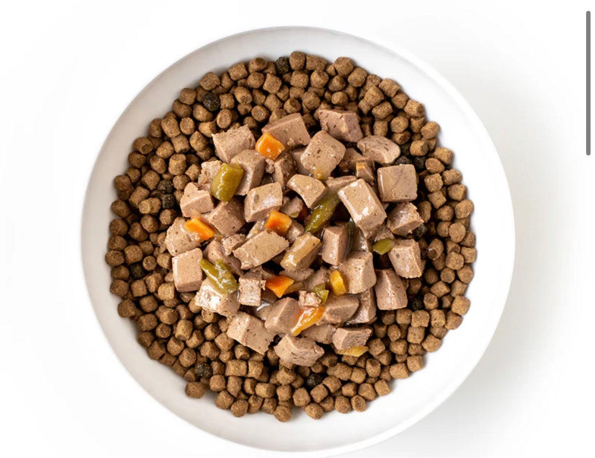 Dog Food