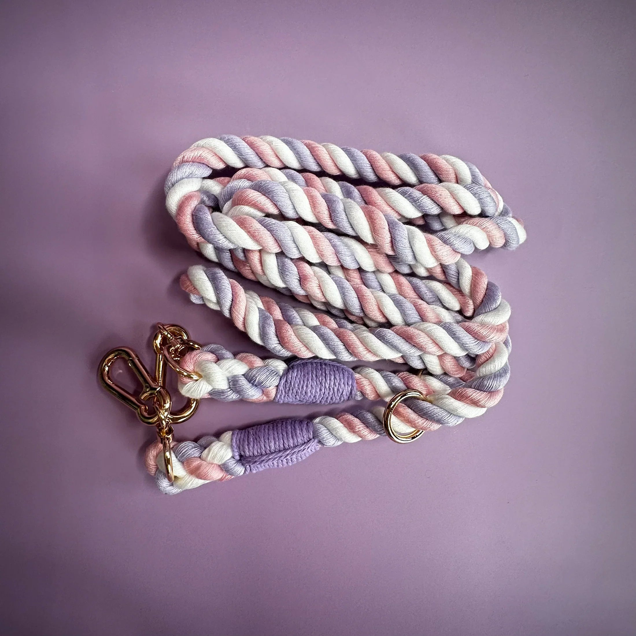 Dog Leads