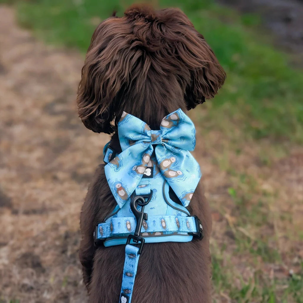 Pup Chic Boutique Otterly Lovely Sailor Bow