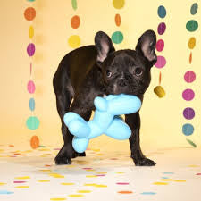 BARK! Bob the Balloon Dog Toy