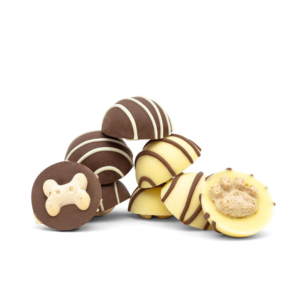 Ruffingtons Terrier Truffles