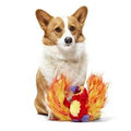 BARK! Harry Potter Fawkes Dog Toy