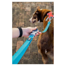 Red Dingo Black Bumble Bee SuperLead Small