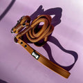 5ft Rope Dog Lead with PVC Handle - Pup Chic Boutique