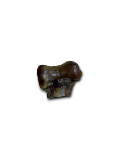 Anco Natural Ostrich Knuckle