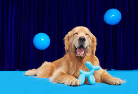 BARK! Bob the Balloon Dog Toy
