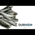 DAF 1 kg sprats