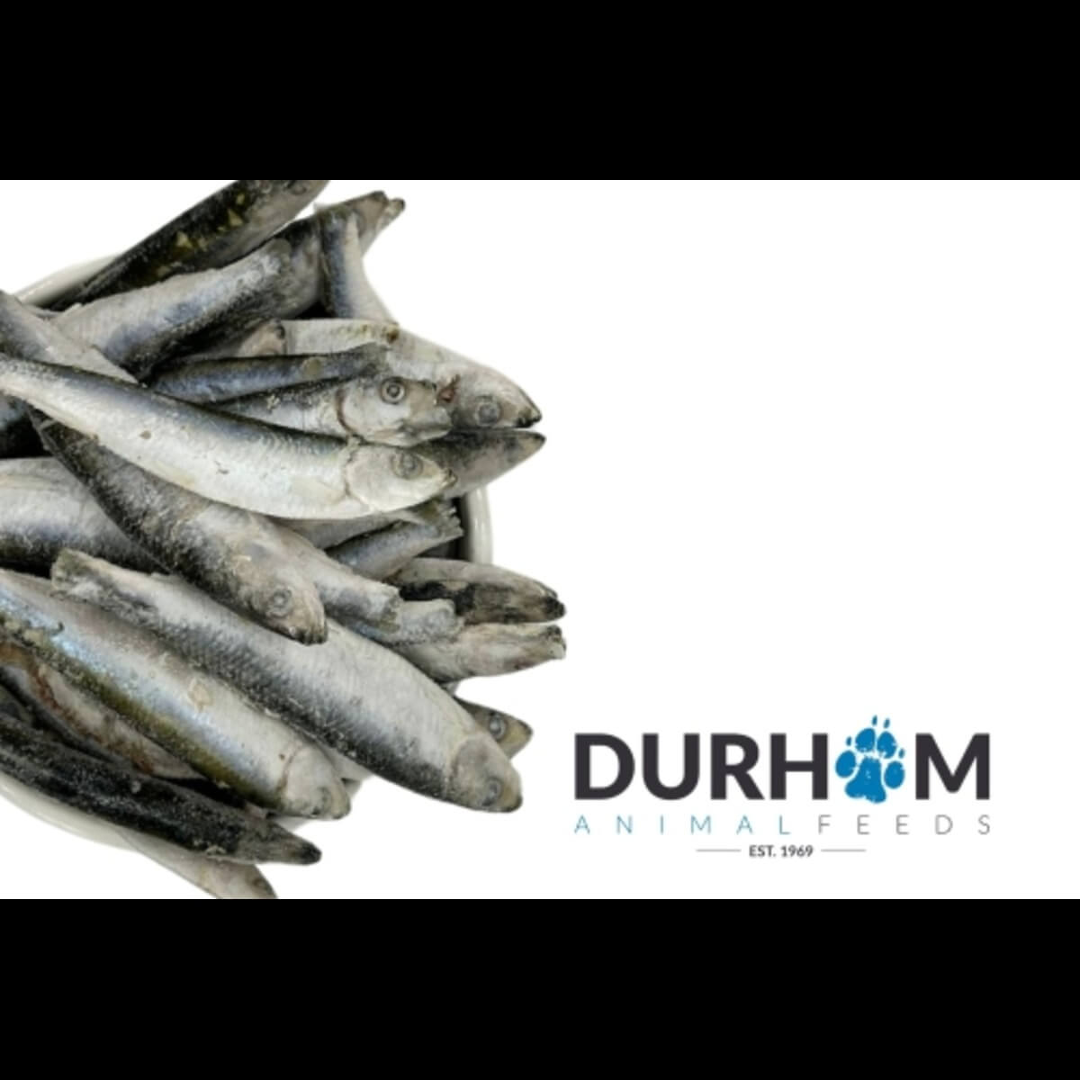 DAF 1 kg sprats
