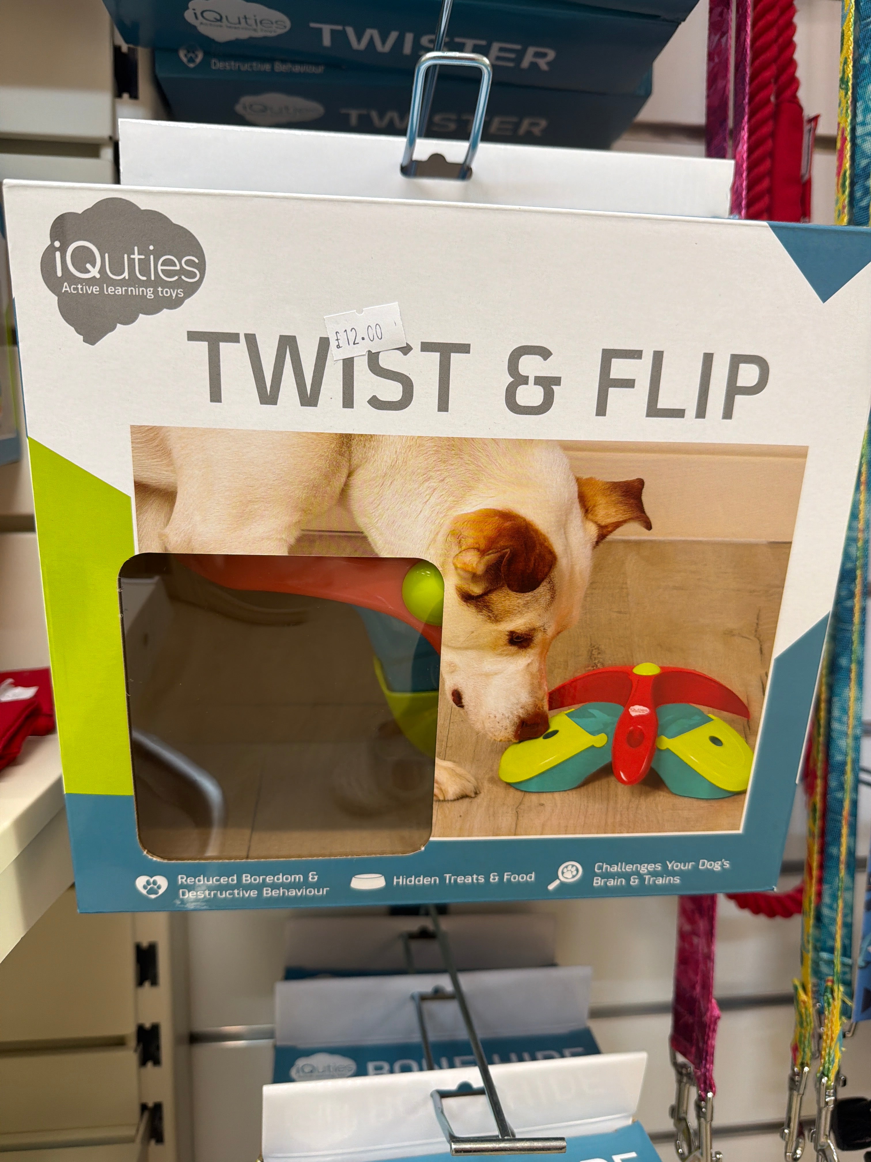 IQuties Twist & Flip Enrichment Toy