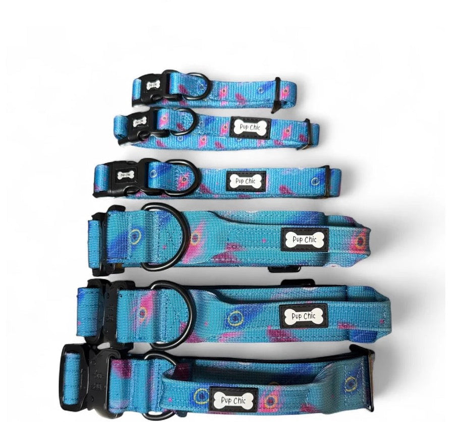 Power Peacock Blue Tactical Dog Collar - Pup Chic Boutique