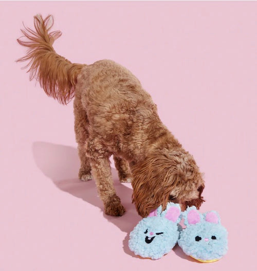 BARK! Yippy & Skippy Slippies Dog Toy