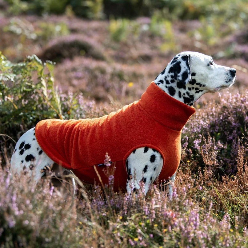 XL Dog Fleece Jumper