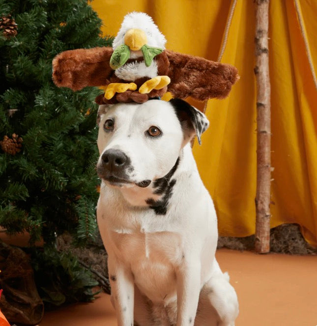 BARK! Majestic Marty Dog Toy