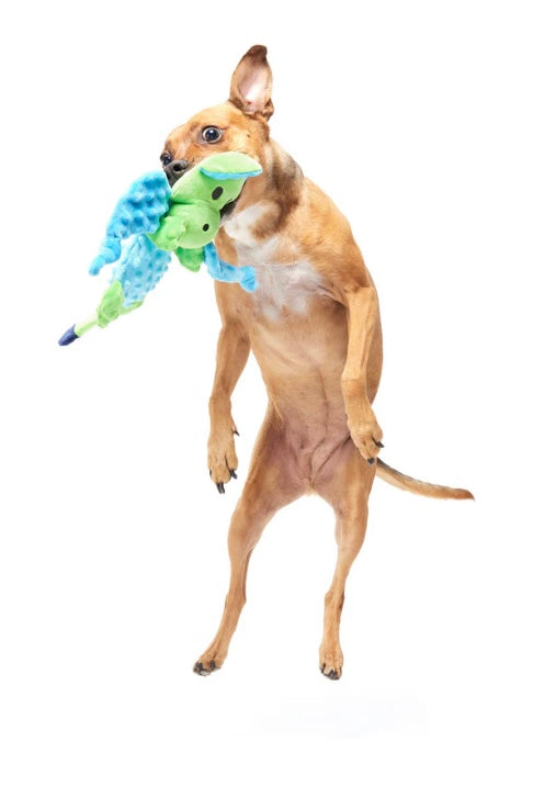 BARK! Humbert The Dragon Dog Toy