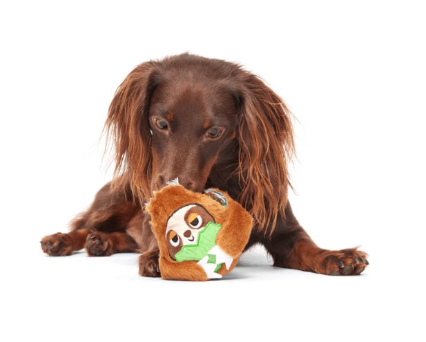 BARK! Sonny the Sloth Dog Toy