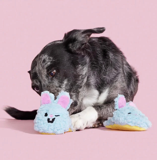 BARK! Yippy & Skippy Slippies Dog Toy