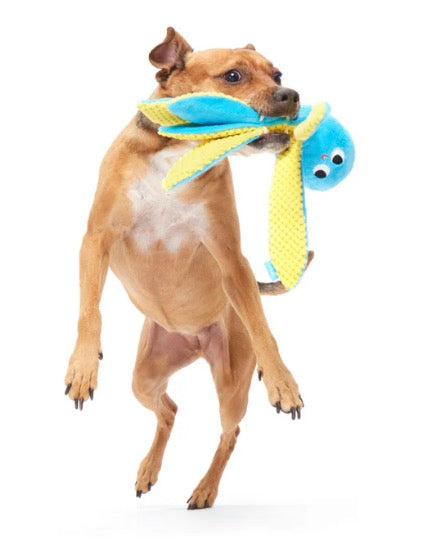 BARK! Odd Otto Dog Toy