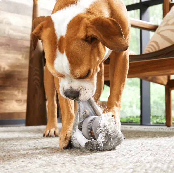BARK! Hare Raiser Super Chewer Dog Toy
