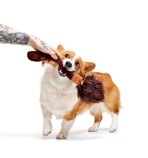 BARK! Harry Potter Nimbus 2000 Dog Toy