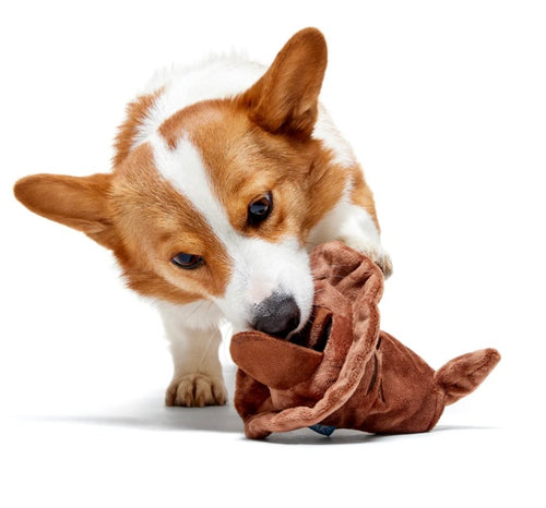 BARK! Harry Potter Sorting Hat Dog Toy