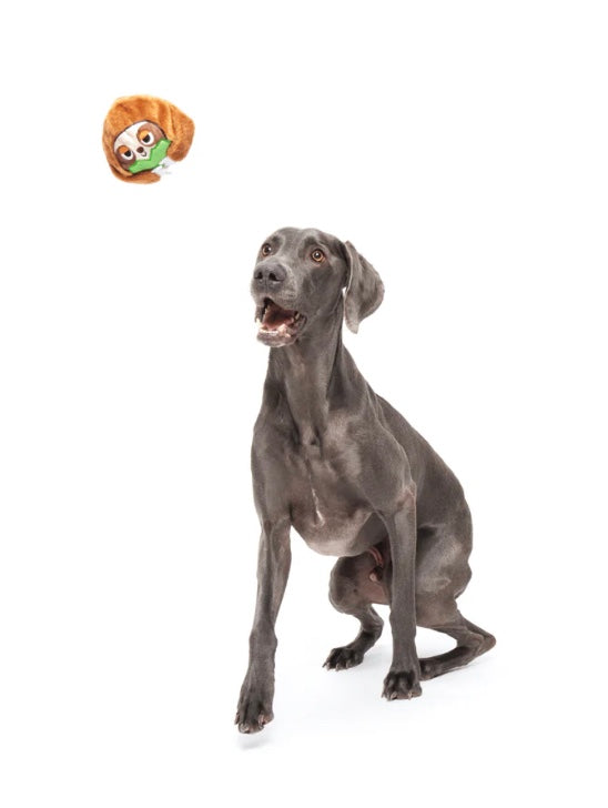 BARK! Sonny the Sloth Dog Toy