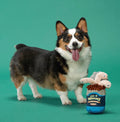 BARK! Live Bait Bites Dog Toy