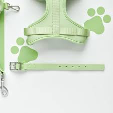 Cocopup NAKD Collar Matcha