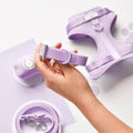 Cocopup NAKD Collar Parma Violets