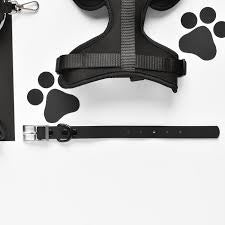 Cocopup NAKD Collar Liquorice