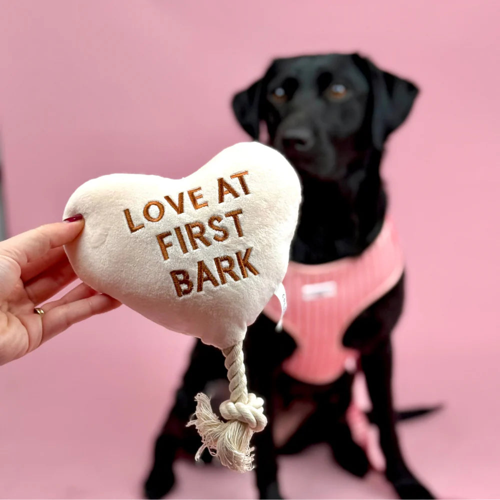 Cocopup Love at First Bark Dog Toy