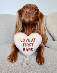 Cocopup Love at First Bark Dog Toy