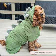 Cocopup Dinopup Drying Robe
