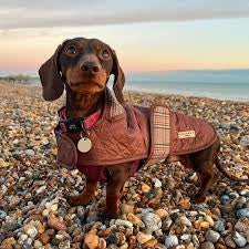 Cocopup Pup Plaid Quilted Dog Coat