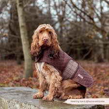 Cocopup Pup Plaid Quilted Dog Coat