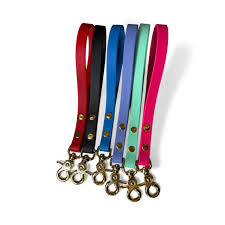 Pup chic Traffic Lead Blue