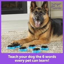 Brightkins Taking Pet Essential Words