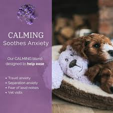Rosewood Aromadog Calm Fleece Flatty Dog
