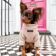 Teddy Adjustable Neck Harness - Love-a-Lot
