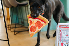 P.L.A.Y Puppy-roni Pizza Dog Toy