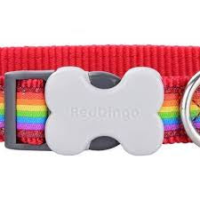 Red Dingo Rainbow Red Dog Collar