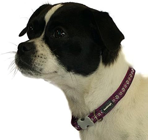 Red Dingo Dog Collar Purple Daisy Chain
