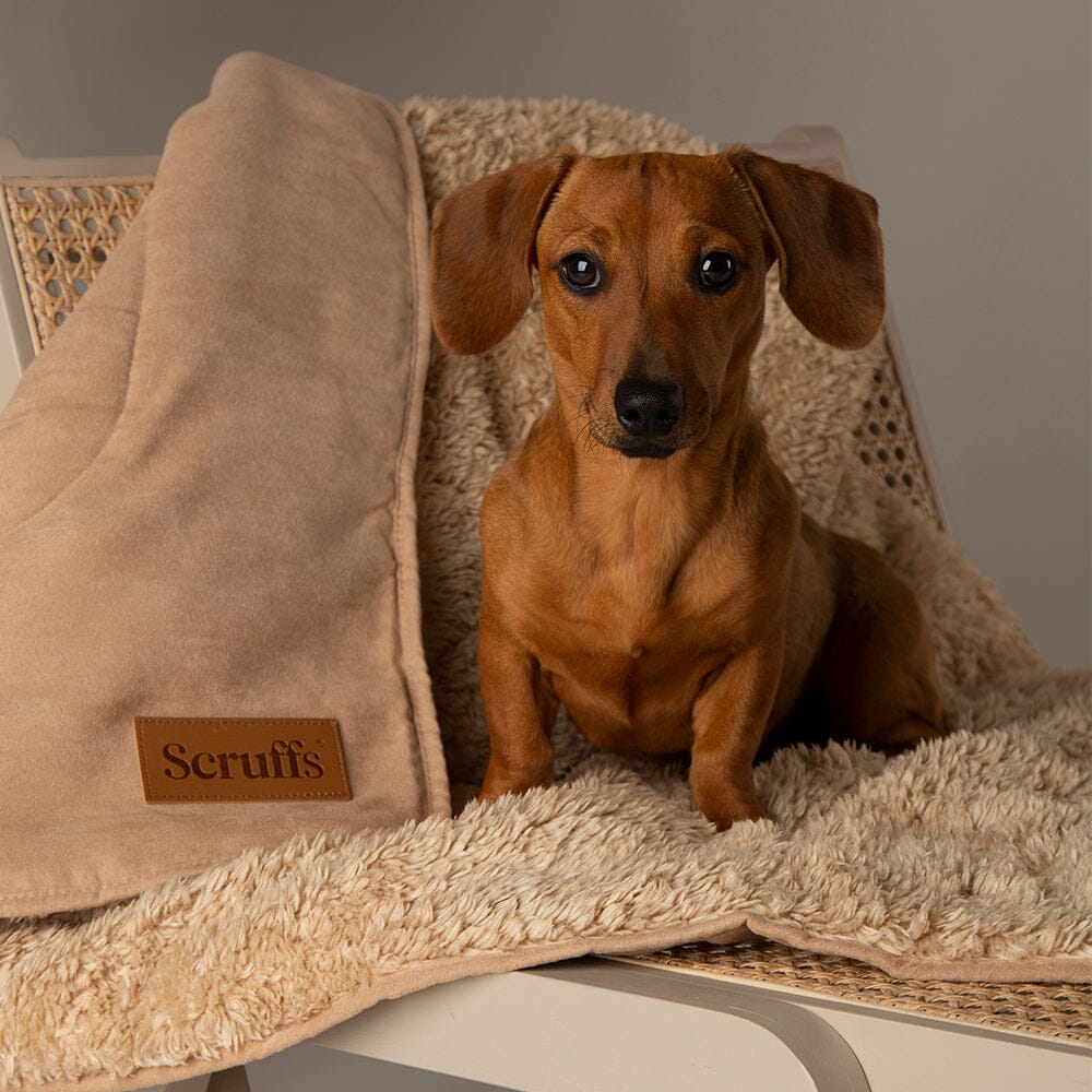 Scruffs Snuggle Blanket Assorted Colours