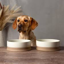 Scruffs Scandi Non Tip Dog Bowl