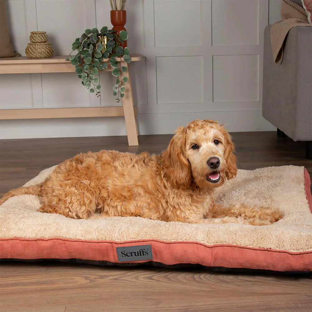 Scruffs Cosy Mattress Assorted Colours Medium