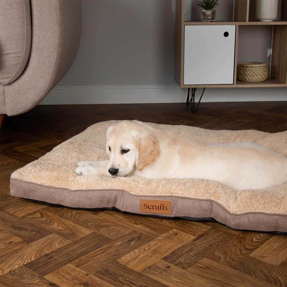 Scruffs Cosy Mattress Assorted Colours Medium