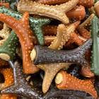 Veggie Bites Antler