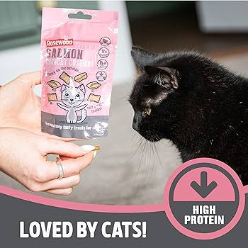 Rosewood Daily Eats Cat Salmon Crunchy Cushions