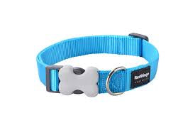 Red Dingo Turquoise Collar
