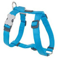 Red Dingo Turquoise Harness