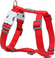 Red Dingo red Harness